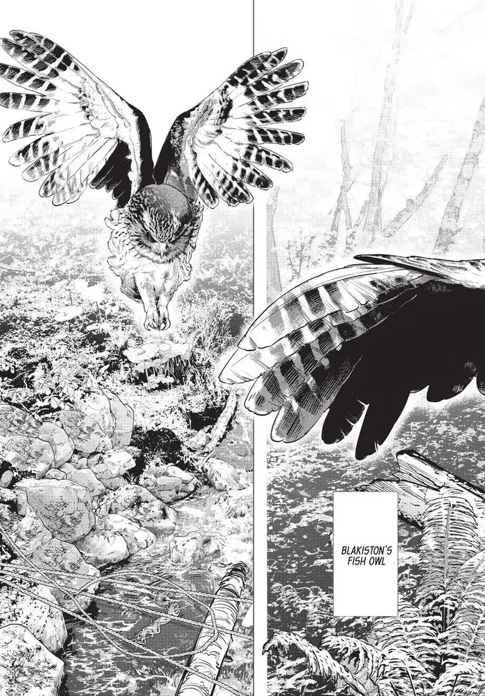Golden Kamuy Chapter 119 image 14_optimized